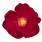 Flower Carpet Red