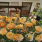 Flower Carpet Amber